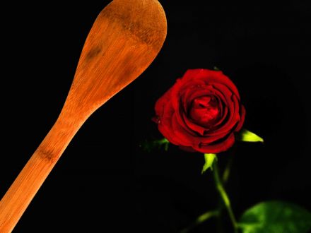 BookMediaItem%2F4548%2F440x330%2Fspoon+rose.jpg